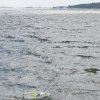 Hårdvindstest
